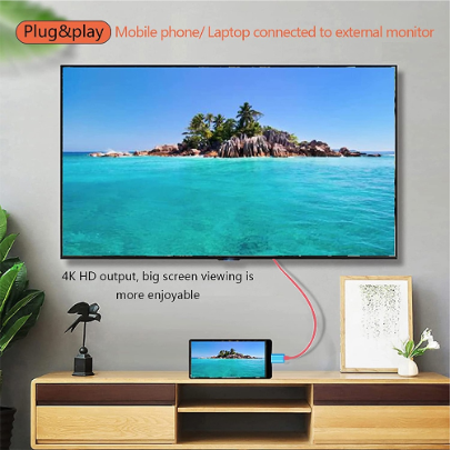 Switch USB-C To HDMI Conversion Adapter