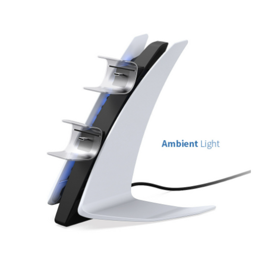 Dobe PS5 Charging Dock (D4)